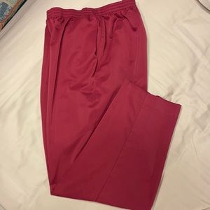 Beautiful berry colored elastic waist pants. 16W